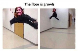 the floor is growls